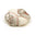 UME-0014